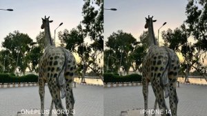 OnePlus Nord 3 5G Vs iPhone 14 Camera Test Comparison
