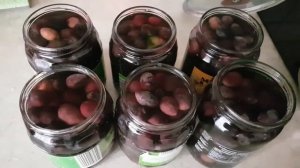 Оливки. Рецепт приготовления оливок в рассоле. Греция.