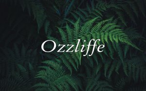 БЫСТРЫЙ И ЛЕГКИЙ РЕЦЕПТ. Фрикасе из курицы в сливочно-чесночном соусе.