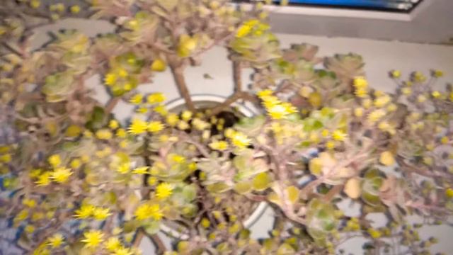 Аихризон смотреть онлайн