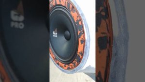3 пары динамиков DL audio gryphon pro 165. Громкий фронт