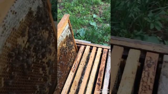 Коврик для Боцмана смотреть онлайн