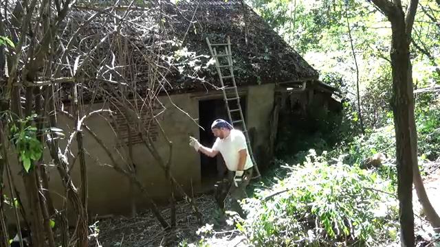 #5 si deve fare pulizia dietro casa per liberare il tetto dai rami e foglie, un bosco dimenticato смотреть онлайн