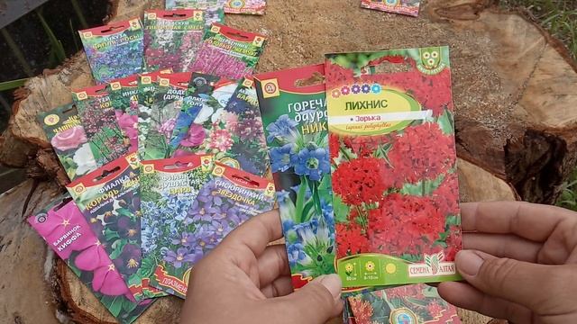 Многолетние цветы из семян. Что посеять в полутени, а что на солнце?