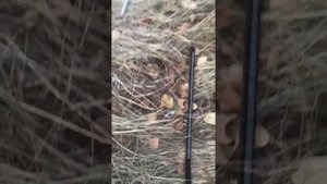 Как открыть Ниву в поле