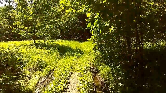 Поездка к дереву мордвы. 12 июня 2017. Симкино смотреть онлайн