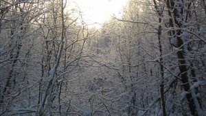 Зима - Белозерск 04-09.01.11г..mpg