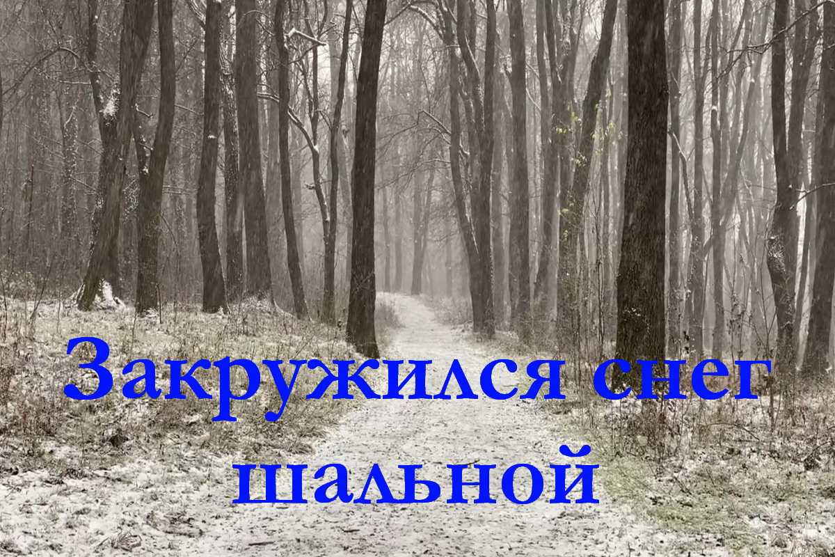 Василек снег шальной. Лена Василек закружился снег шальной. Закружился снег шальной белый день. Снег шальной. Авторы песни закружился снег шальной белый день.