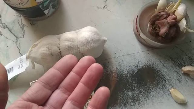 Где взять чеснок для посадки