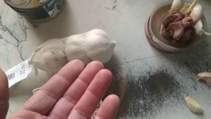 Где взять чеснок для посадки