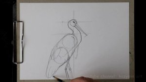 Как нарисовать АИСТА карандашом. Подробный мастер-класс.