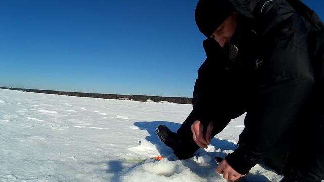 Рыбалка в комарово