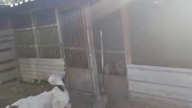 НАГОРНОЕ 4 ИЮНЯ 2018