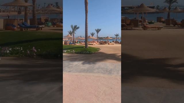 Desert Rose Resort Hurghada обзор территории 22.03.2023