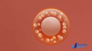 The Metolar XR Protection | Medical Animation