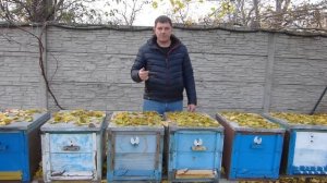 Сколько денег можно заработать на пасеке