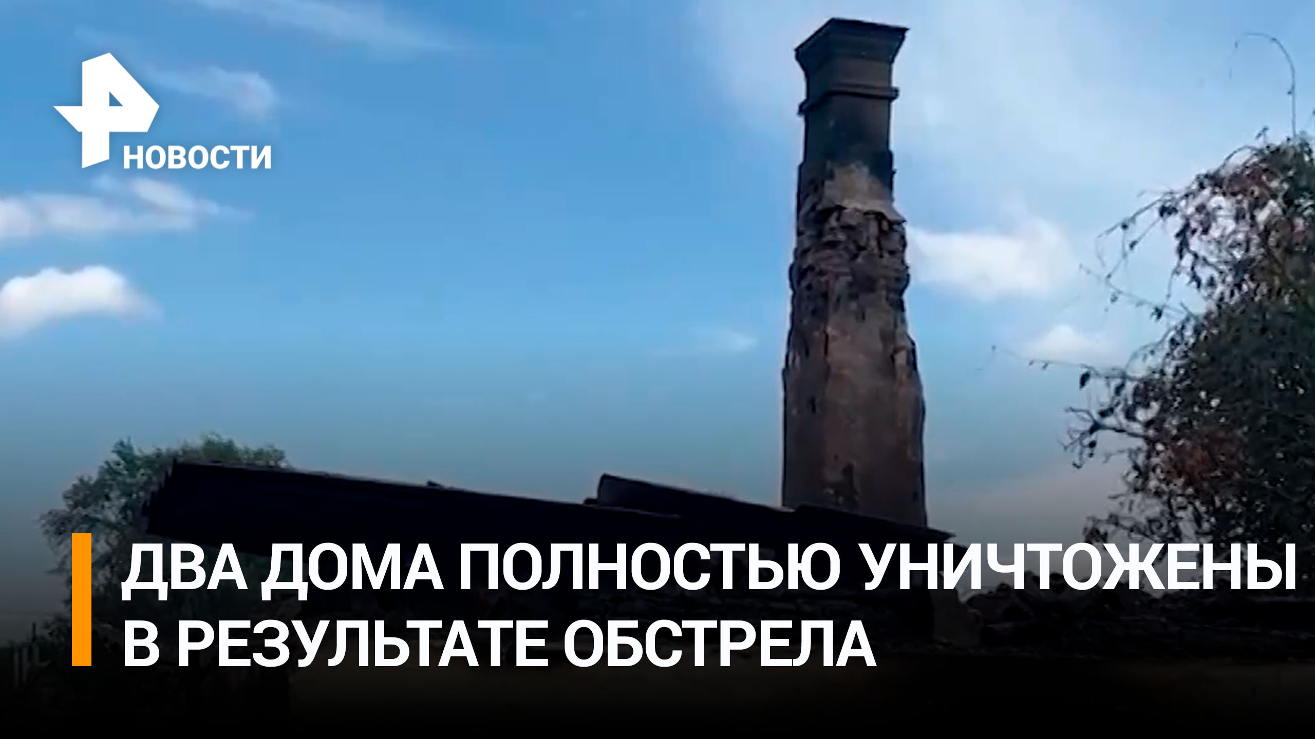 "Жгут дотла": леса в Алешках Херсонской области в огне после обстрела украинских националистов