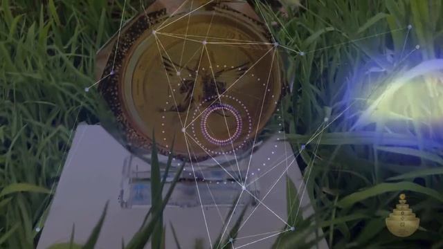 Живой Кристалл.  Монета Голограмма Анхкоин.  Источник Изобилия.  [Носитель Сверхчастоты]