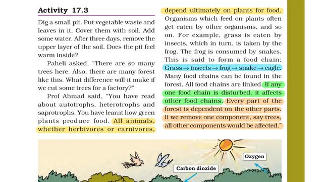 Class 7 Science Chapter 17 | NCERT | Forests Our Lifeline смотреть онлайн