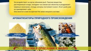 ? Подкормка для рыбы своими руками для карася ❗ Активатор клева для плотвы