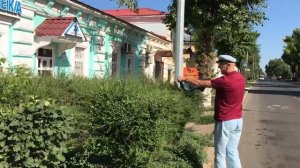 Испытание Аккумуляторного кустореза Makita