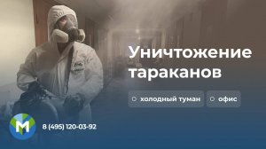 Уничтожение тараканов холодным туманом - МосОблДез