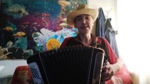 Калины куст кавер На Баяне Артем Фаттахутдинов