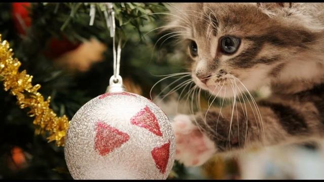 магазин подарков на новый год москва смотреть онлайн