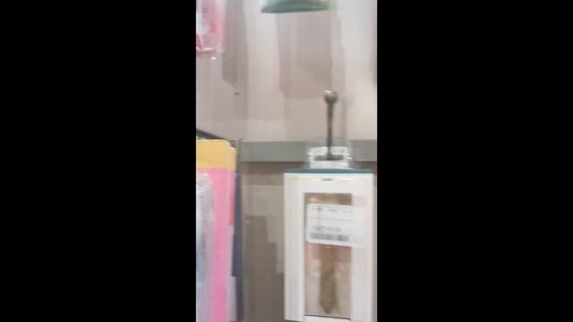 Влог из Германии. Мама в гостях. Магазин tkmaxx.Буду заниматься оnline.