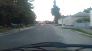 Г. Лебедин 17 августа 2017 года.