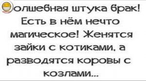 Брак и развод - приколы о семейной жизни в картинках