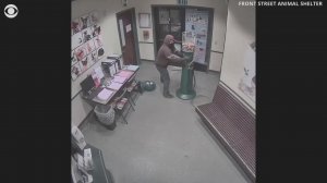 Преступление века