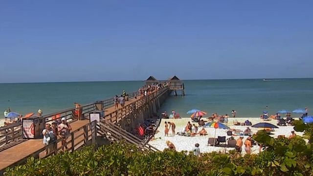 Почему нельзя хранить ракушки в доме: народные приметы о влиянии сувенира смотреть онлайн