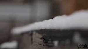 2 февраля - Ефимов день. Обряды на привлечение удачи, денег и благополучия. Что можно и что нельзя?