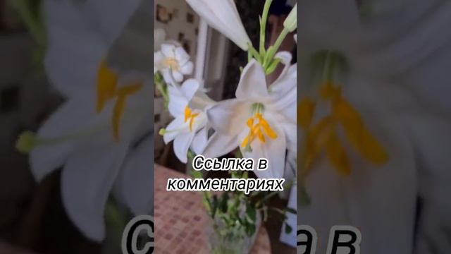 Живые цветы для украшения торта