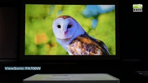 【開箱文】ViewSonic PA700W 4,500 ANSI 流明高亮度 WXGA 商用&教育用投影機
