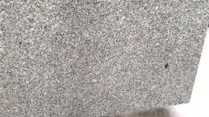 G603(V) Белла Вайт/Bella White - новый серый гранит из Вьетнама