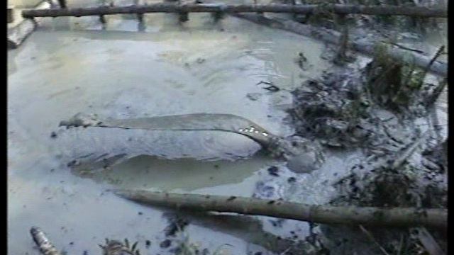 Экспедиция длиной в 14 лет смотреть онлайн