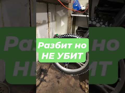 Зимняя Альфа «Бандит»