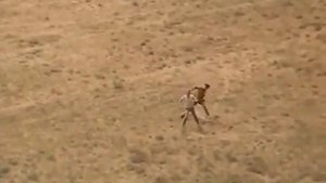 "Ты где, июль?" Песня из к/ф "Зеленый фургон"