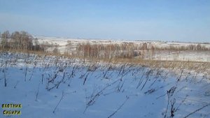 Загонная охота на косулю 2020. Закрытие сезона.