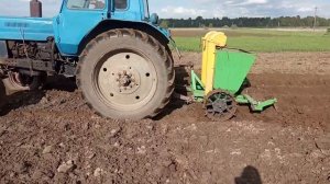 посадка картофеля, МТЗ 82 сажалка bomet