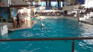 Дельфинарий в Набережных Челнах