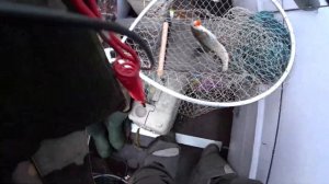 Рыбалка в Карелии, Пяозеро 2021 5 серия