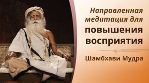 Направленная медитация для улучшения восприятия - Шамбхави Мудра.