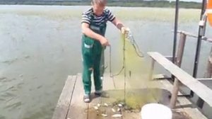 Самый быстрый способ ловли живца. Cast Netting.