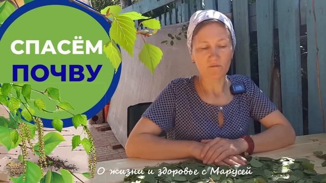 СПАСЁМ ПОЧВУ представляет: канал "О жизни и здоровье с Марусей" ЦЕЛЕБНЫЕ СВОЙСТВА. БЕРЁЗОВЫЙ ЛИСТ