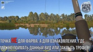 Русская рыбалка 4 - Фарм | р. Ахтуба Подуст |- рр4 подуст река ахтуба