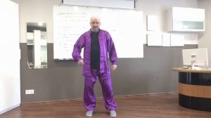 Белый журавль расправляет крылья. Чэньши Тайцзицюань. Позиция 6/83.