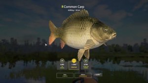 Russian Fishing 4 - Bear Lake - Gameplay Carp Fishing - #164